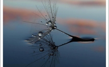 شعر-ترانه-بگم-موضوع-انتخابی