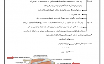 تبدیل-فایل-صوتی-فارسی-تصویر-متن-تایپی-دقیق-غلط