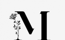 طراحی-کامل-سایت-وردپرسی-شرکتی-شخصی-تعرفه-مناسب