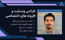 طراحی-وبسایت-توسعه-افزونه-اختصاصی-وردپرسی