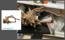 عکس-شمارا-دوربری-ادیت-حذف-اشیا-اضافه-روتوش